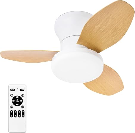 Small Ceiling Fan with Lights and Remote, 25'' Flush Mount, Modern | Reversible Quiet DC Motor,6 Speeds,3 Blades,Dimmable,Adjustable Color Temperature,Timer for bedroom Kitchen indoor outdoor