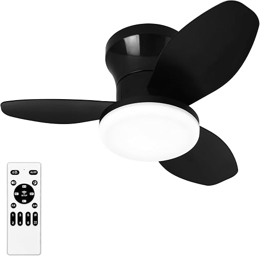 Small Ceiling Fan with Lights and Remote, 25'' Flush Mount, Modern | Reversible Quiet DC Motor,6 Speeds,3 Blades,Dimmable,Adjustable Color Temperature,Timer for bedroom Kitchen indoor outdoor