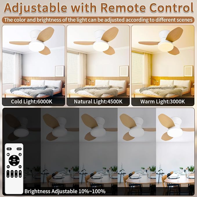Small Ceiling Fan with Lights and Remote, 25'' Flush Mount, Modern | Reversible Quiet DC Motor,6 Speeds,3 Blades,Dimmable,Adjustable Color Temperature,Timer for bedroom Kitchen indoor outdoor